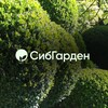 Логотип телеграм канала @sibgardentg — СИБГАРДЕН