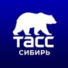 Логотип телеграм канала @sibir_tass — ТАСС / Сибирь