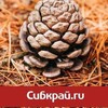 Логотип телеграм канала @sibkrayru — СИБКРАЙ