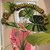 Логотип телеграм канала @sibzelenok — PROкомнатный сад🪴
