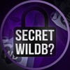 Логотип телеграм канала @sicretwb — Secret Wildberries 🛍