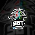 Logo saluran telegram sigmabinarytrading — Sigma Binary Trading (SBT Free)