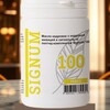 Логотип телеграм канала @signum100 — SIGNUM-100🧠