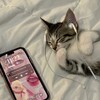 Логотип телеграм канала @siilmill — Идеальный ракурс ♡