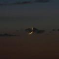 لوگوی کانال تلگرام silivermoom — ماه‌ِنُقره‌ای🌙"