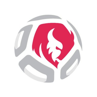 Логотип телеграм канала @silverageabff — Серебряный век. Футбол Беларуси