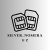 Logo of telegram channel silvernomerauz — Silver Nomera