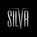 Logo saluran telegram silvrofficial — SILVR