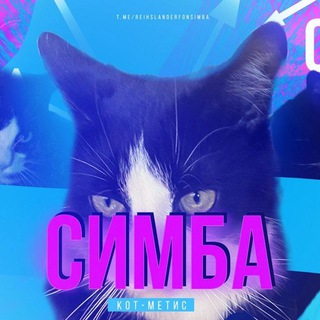 Логотип телеграм канала @simbakitt — Симба - кот
