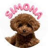 Логотип телеграм канала @simonadog — SIMONA