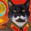 Логотип телеграм канала @simple_mem — Мемы простого человека