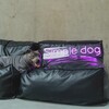 Логотип телеграм канала @simpledog_ru — Simple Dog | одежда для людей и собак