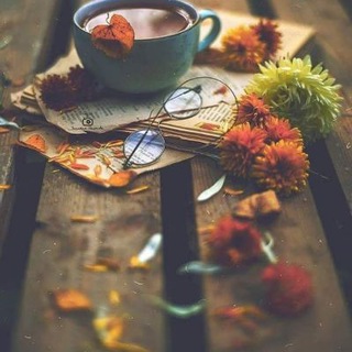لوگوی کانال تلگرام simpliciy — 🌸Simplicity🌸