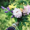 Логотип телеграм канала @simplyinspired — Viva la Vida! 🌿