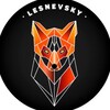 Логотип телеграм канала @sindrom_toretto — Это Лесневский