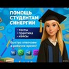 Логотип телеграм канала @sinergy_kursy — Помощь студентам Университета - сдача тестов, написание курсовых работ, написание ВКР