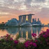 Логотип телеграм канала @singapore_guide — Рита • Гид в Сингапуре 🇸🇬