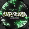 Логотип телеграм канала @sinlexplay — Capybara Play!
