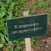 Логотип телеграм канала @sirinsirinalconost — в тайге такой херни не было