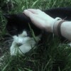 Логотип телеграм канала @sisspickapopka — дилда
