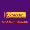 Logo saluran telegram situs_slott — SITUS RESMI 7METER