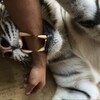 Логотип телеграм канала @siwomenyaoo — евкинс!!