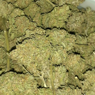 Logo des Telegrammkanals sizdahorginall - •13🎙