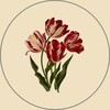 شعار قناة تلجرام sk_rb — مأوىٰ