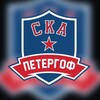Логотип телеграм канала @skapetergof2008 — СКА Петергоф 2008💙