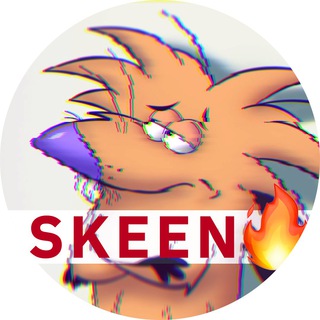 Логотип телеграм канала @skeengdom — Skeengdom🔥