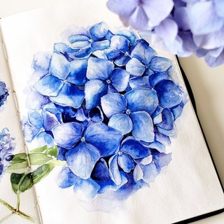 Логотип телеграм канала @sketchesandillustrations — Sketches&Illustrations