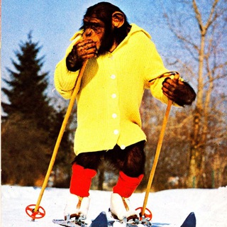 Логотип телеграм канала @ski_joke — Ski Joke / Лыжный юмор🎿