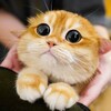 Логотип телеграм канала @skidochca — Скидочку сделате?