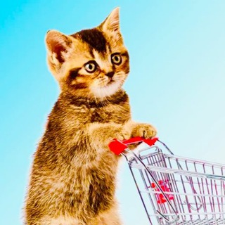 Логотип телеграм канала @skidon_wb — СКИДОНЧИК 🛍️ Wildberries 🟣 Ozon