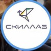 Логотип телеграм канала @skillab_rf — Центр профориентации СКИЛЛАБ Родительское сообщество