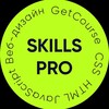 Логотип телеграм канала @skills_pro_chan — Skills PRO | Академия фриланса