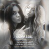 Логотип телеграм канала @skilsfamile — cl | 𝒇𝒎 𝒔𝒌#𝒍𝒔