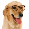 Telegram channel А ссылочку скинешь? logo