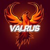 Логотип телеграм канала @skinsg — Valrus-Розыгрыши