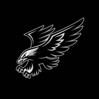 Логотип телеграм канала @skll_channel — 🦅SOKOLL CHANNEL