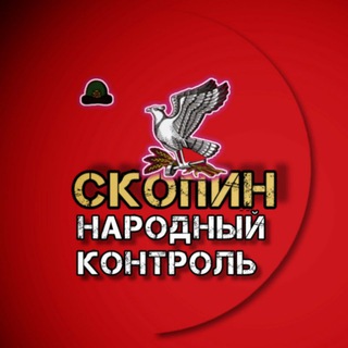 Логотип телеграм канала @skopin_nk — СКОПИН | Народный контроль