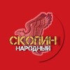 Логотип телеграм канала @skopin_narod — СКОПИН НАРОДНЫЙ