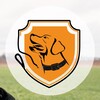 Логотип телеграм канала @skorospehova_dog_school — Школа дрессировки собак Скороспеховой Кристины | СПб