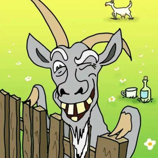 Логотип телеграм канала @skotodvor — Козлы и овцы Белгорода