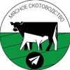 Логотип телеграм канала @skotovody — Мясное скотоводство | КРС Клуб