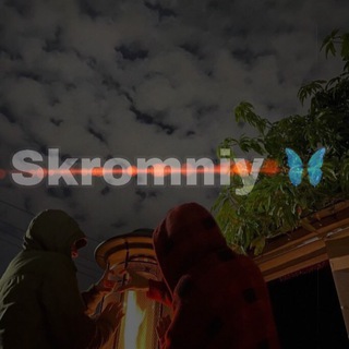 Логотип телеграм канала @skromniiy7777 — 𝓢𝓴𝓻𝓸𝓶𝓷𝓲𝔂🦋