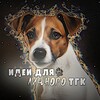 Логотип телеграм канала @skslekwowo — Идеи для личных тгк