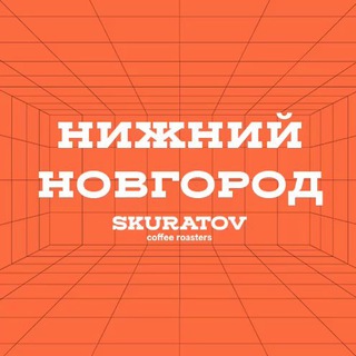 Логотип телеграм канала @skuratov_nn — Skuratov NN