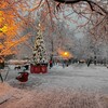 Логотип телеграм канала @skver_v_ochakovo — Защита сквера на ул. Марии Поливановой