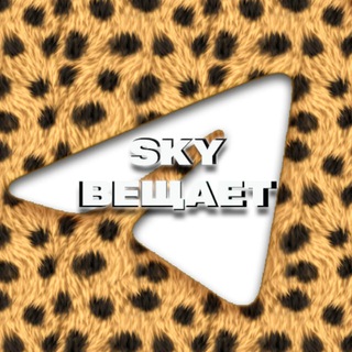 Логотип телеграм канала @sky_affiliate — Вещает Sky Team | Арбитраж трафика